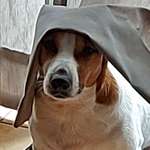 Ersteller:in Kathrin Profilbild