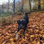 Ersteller:in Joan Profilbild