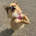 Ersteller:in Joanna Profilbild