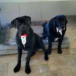 Ersteller:in Raphaela Profilbild