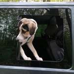 Ersteller:in Sa Profilbild