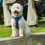 Ersteller:in Thomas Profilbild