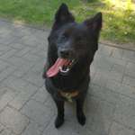 Ersteller:in Marc Profilbild