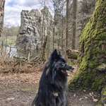 Ersteller:in Marc Profilbild