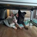 Ersteller:in Steffi Profilbild