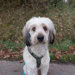 Ersteller:in Sabrina Profilbild