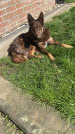 Neurologische Ausfälle-Beitrag-Bild