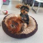 Ersteller:in Julia Profilbild