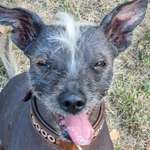 Ersteller:in Sabrina Profilbild