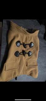 Hundemantel-Beitrag-Bild