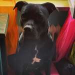 Ersteller:in Michaela Profilbild