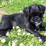 Ersteller:in Heidi Profilbild