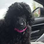 Ersteller:in Onur Profilbild