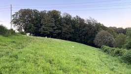 Hundeauslaufgebiet-Hundewiese Mühlinghaus Unterhebbinghausen Wermelskirchen-Bild