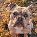 Ersteller:in Frauke Profilbild