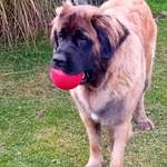 Ersteller:in Anita Profilbild