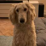 Ersteller:in Cristin Profilbild