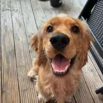 Ersteller:in Anne Profilbild