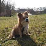 Ersteller:in Jay Profilbild