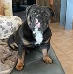 Ersteller:in Horst Profilbild