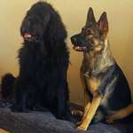 Ersteller:in Katja Profilbild