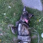 Ersteller:in Less Profilbild