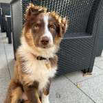 Ersteller:in Dustin Profilbild