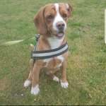 Ersteller:in Cino Profilbild