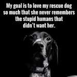 Ersteller:in Katja Profilbild