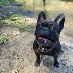 Ersteller:in Lotta Profilbild