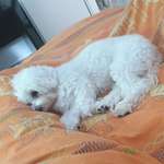 Ersteller:in Jessica Profilbild