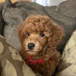 Ersteller:in Robin Profilbild