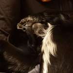 Ersteller:in Simon Profilbild