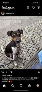 Suchmeldung-OSKAR-Bild