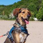 Ersteller:in Michaela Profilbild