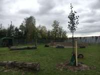 Hundeauslaufgebiet-Industriestraße-Bild