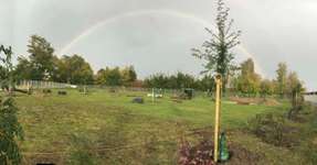 Hundeauslaufgebiet-Industriestraße-Bild