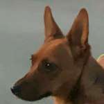 Ersteller:in Julia Profilbild