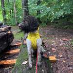 Ersteller:in Ramona Profilbild