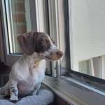 Ersteller:in Grit Profilbild