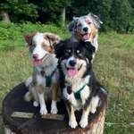 Ersteller:in Annette Profilbild