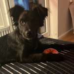 Ersteller:in Elisabeth Profilbild