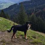 Ersteller:in Steffie Profilbild