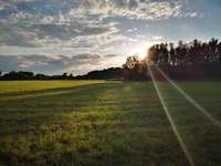 Hundeauslaufgebiet-Jahnplatz-Bild