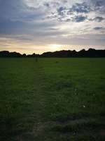 Hundeauslaufgebiet-Jahnplatz-Bild