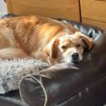 Ersteller:in Elke Profilbild