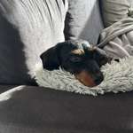 Ersteller:in Lina Profilbild