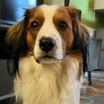 Ersteller:in Susi Profilbild