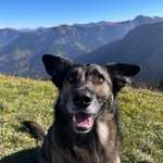 Ersteller:in Sabrina Profilbild