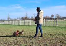 Hundeauslaufgebiet-Olfen an der Dreibogenbrücke-Bild